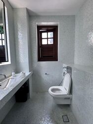 Tanjong Pagar Conservation Area (D2), Shop House #599580571